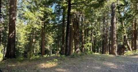 1619 Shoshone, Dorrington, CA 95223 Photo