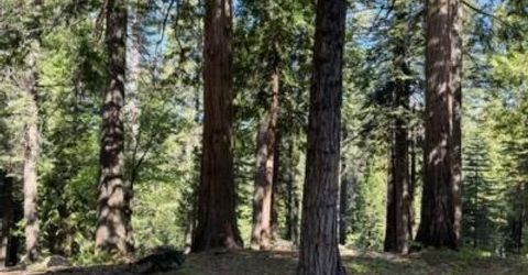 1619 Shoshone, Dorrington, CA 95223 Photo