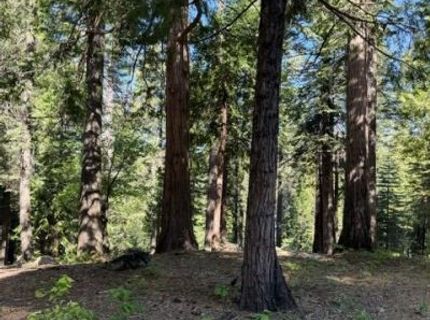 1619 Shoshone, Dorrington, CA 95223 Photo