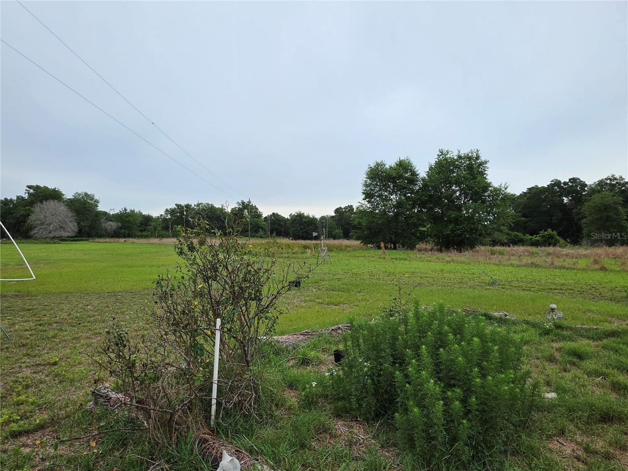 2510 NE 165th Street, Citra, FL 32113 Photo