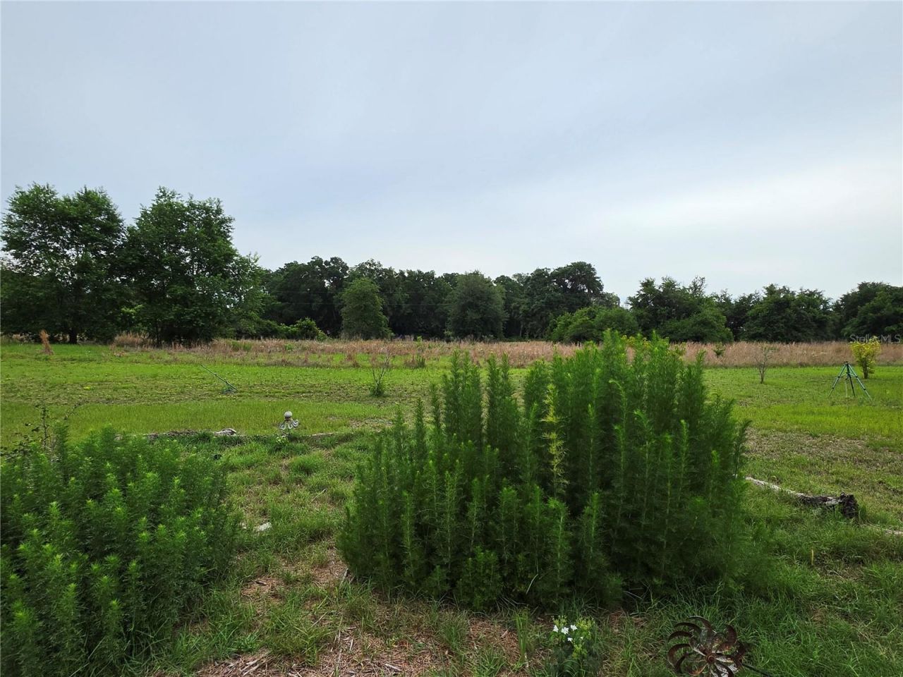 2510 NE 165th Street, Citra, FL 32113 Photo