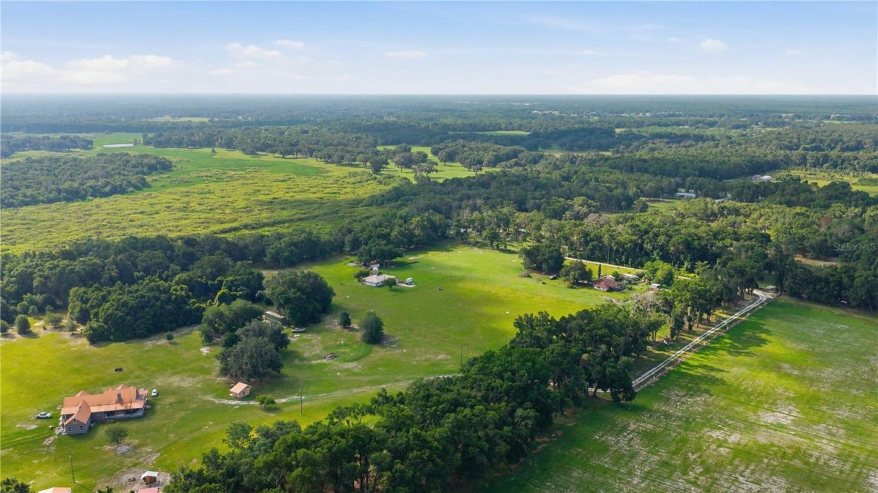 6681 Cr 665, Bushnell, FL 33513 Photo