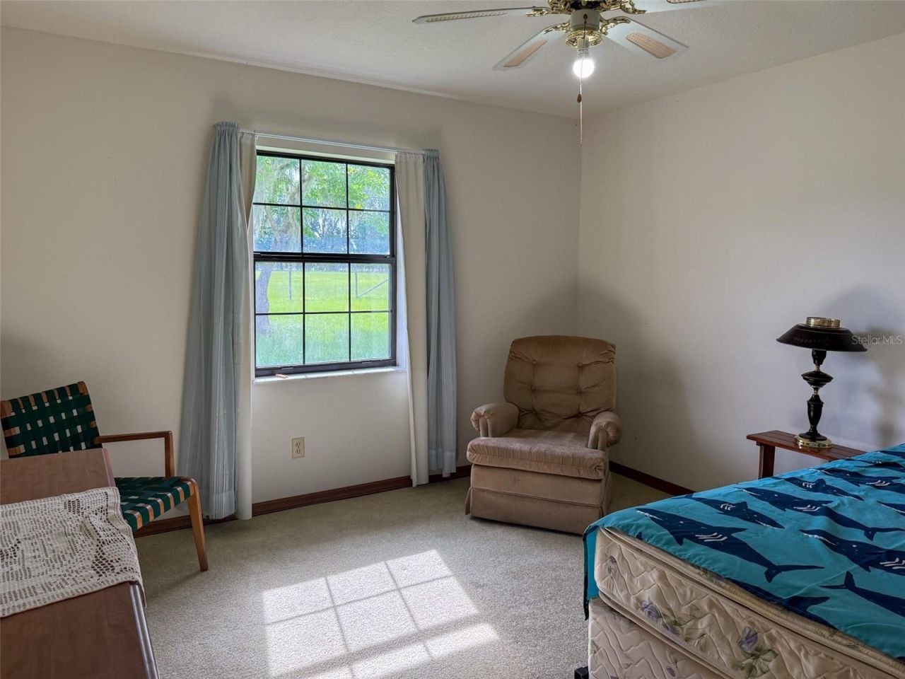 6681 Cr 665, Bushnell, FL 33513 Photo