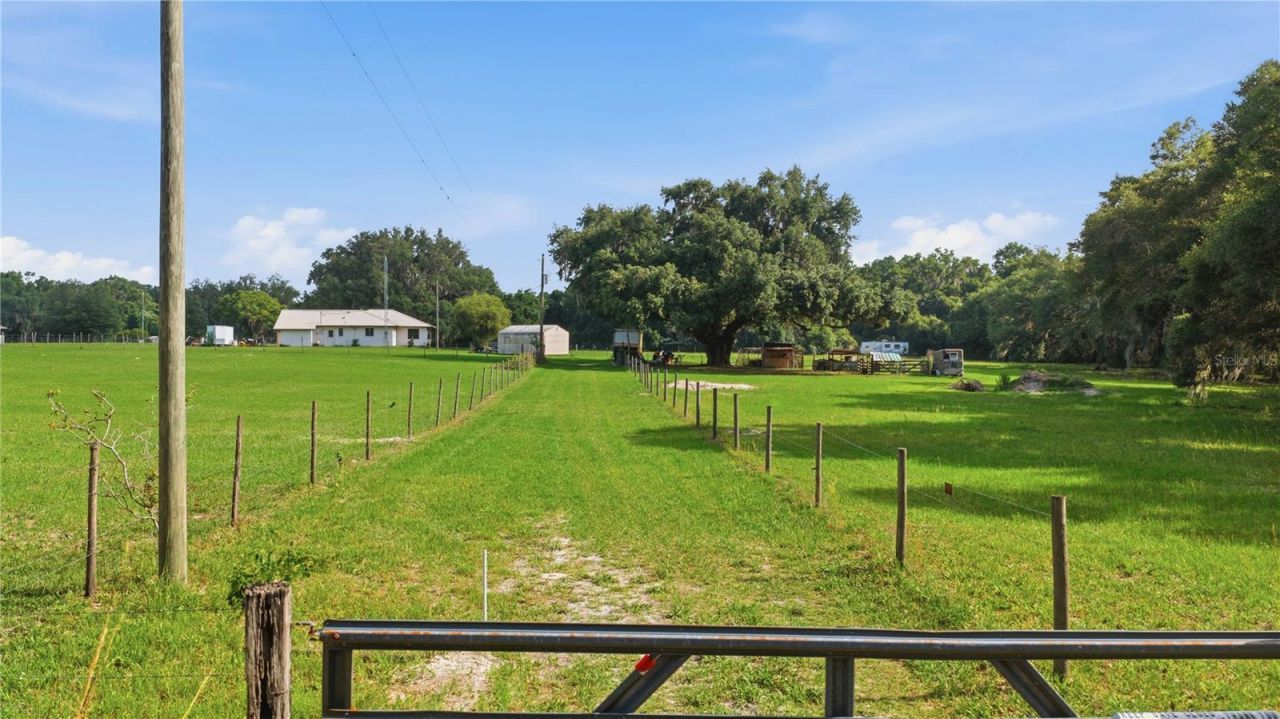 6681 Cr 665, Bushnell, FL 33513 Photo