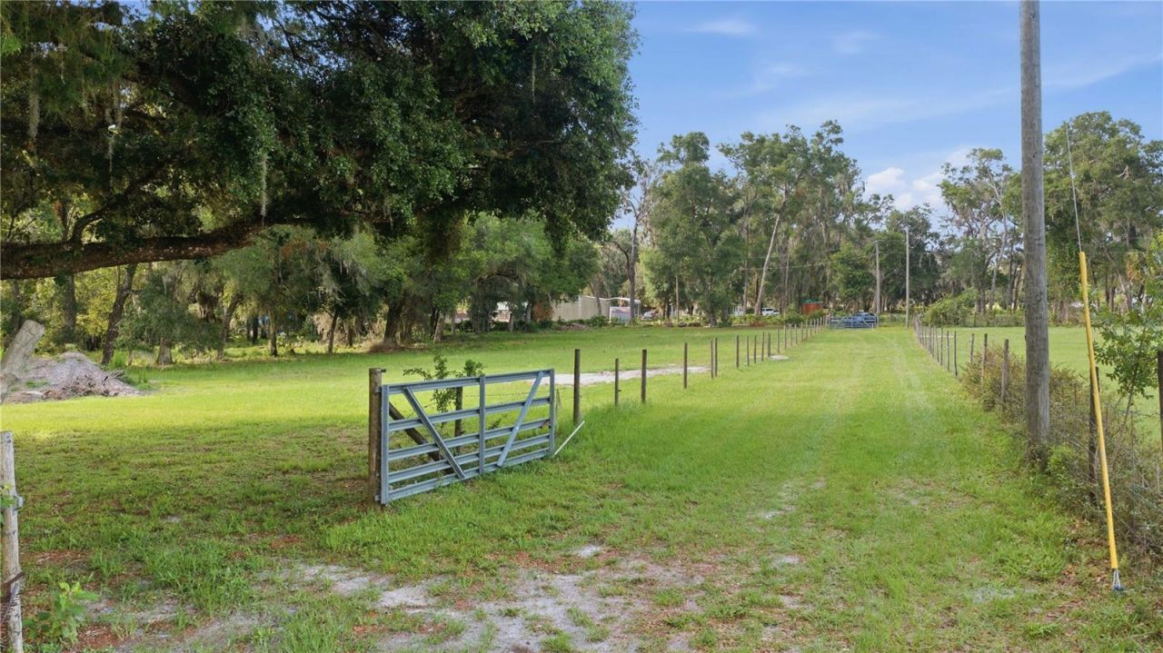 6681 Cr 665, Bushnell, FL 33513 Photo