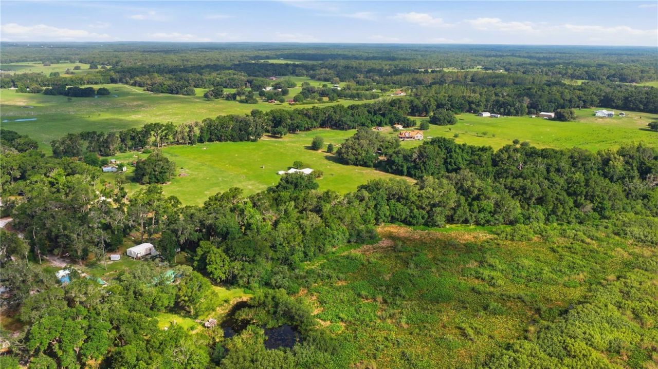 6681 Cr 665, Bushnell, FL 33513 Photo