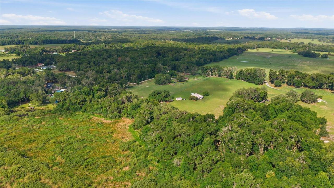 6681 Cr 665, Bushnell, FL 33513 Photo
