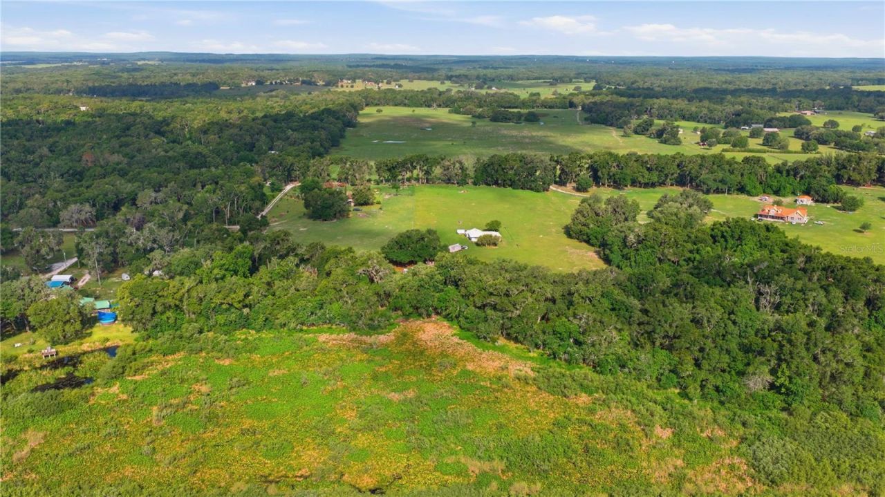 6681 Cr 665, Bushnell, FL 33513 Photo