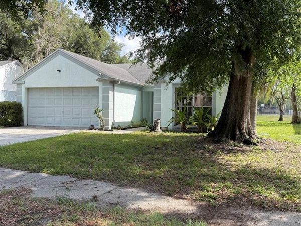1636 BAKER ROAD , LUTZ, FL 33559