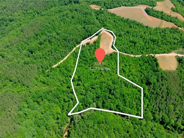 9 Roby Fulk Road , Pinnacle, NC 27043