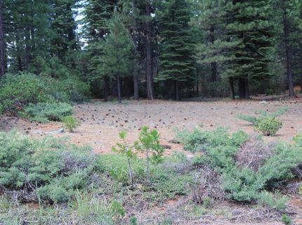 822 Red River Drive, Lake Almanor, CA 96137 Photo