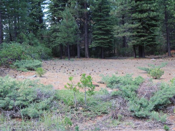 822 Red River Drive, Lake Almanor, CA 96137