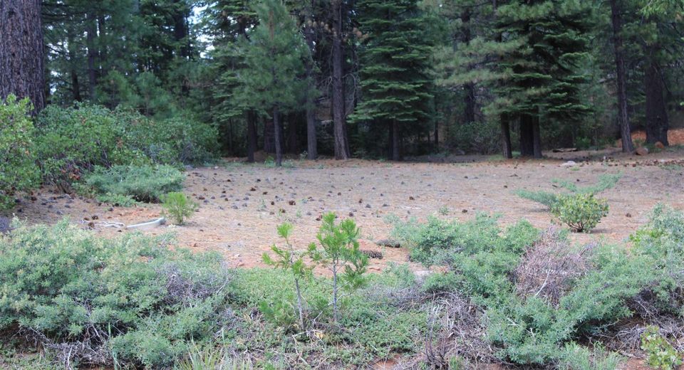 822 Red River Drive, Lake Almanor, CA 96137 Photo