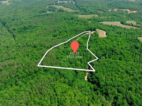 15 Roby Fulk Road , Pinnacle, NC 27043