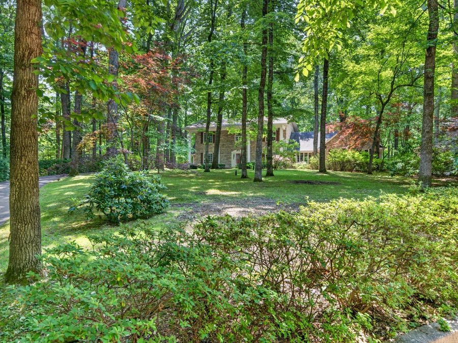 Property Image 61
