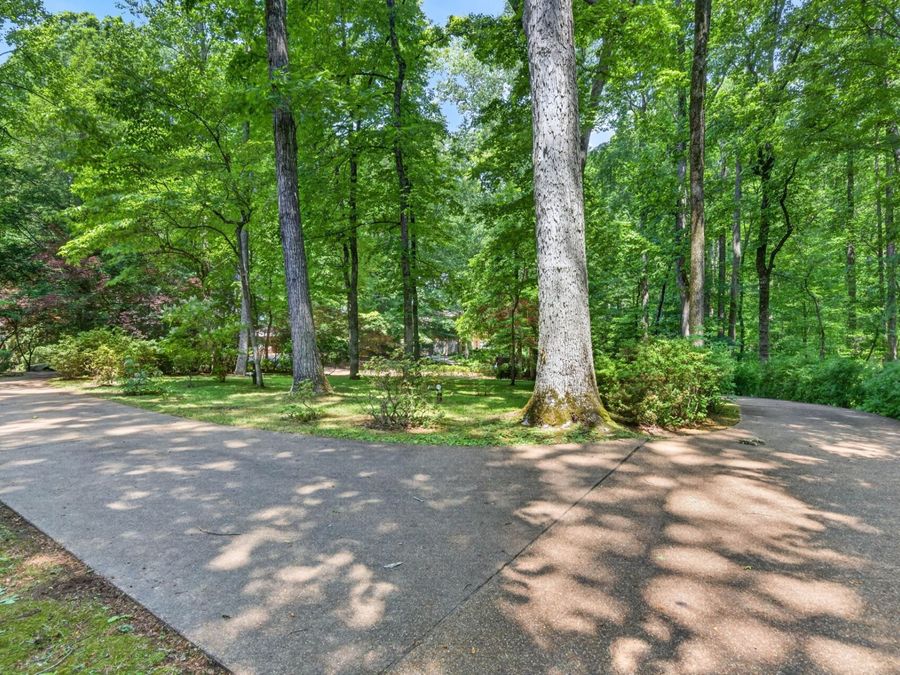 Property Image 66