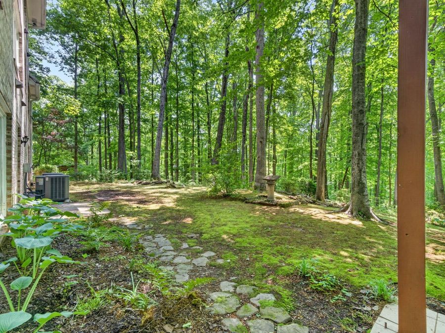 Property Image 83