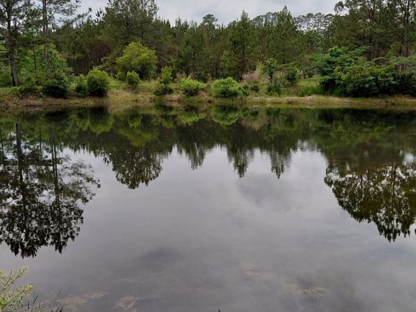 436 Russell Boulevard, Unit ACRES 21.4, Saint George, GA 31562
