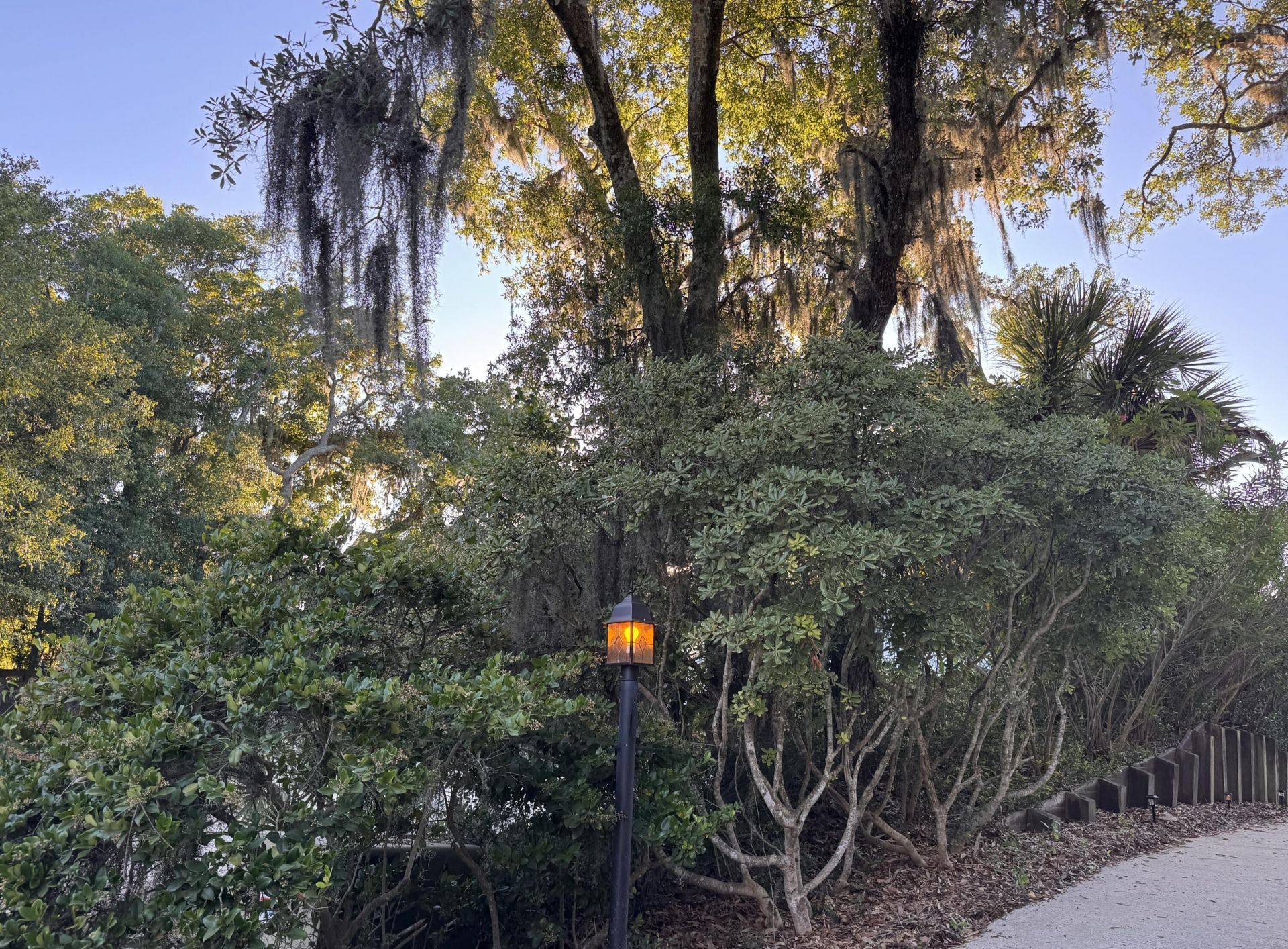 705 Sandpiper Ridge Photo 56