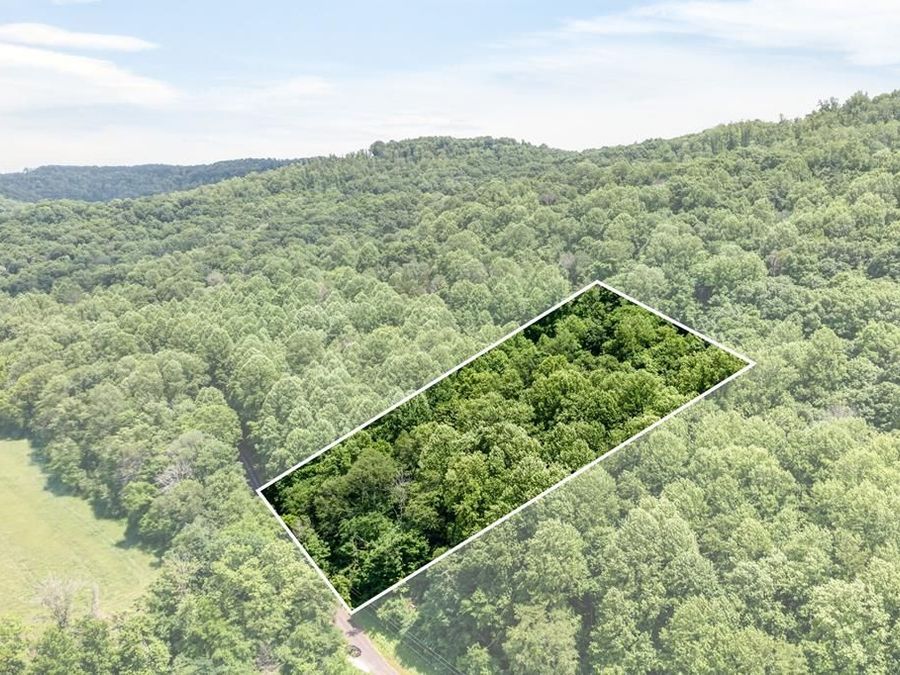 Property Image 1