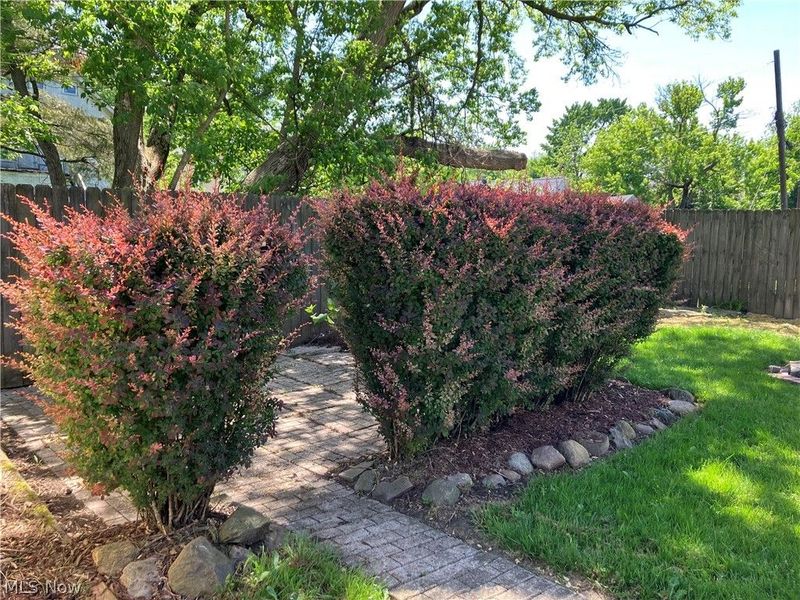 502 Dewey Avenue, Elyria, OH 44035 Photo 21