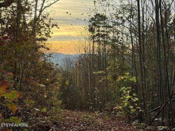 Three Point - Tract 3 Rd, Vonore, TN 37885
