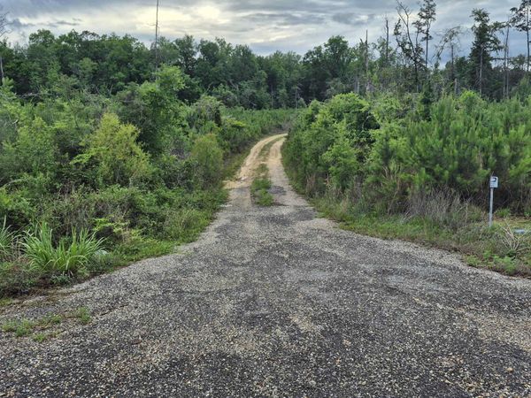 0 County Road 35, Evergreen, AL 36401