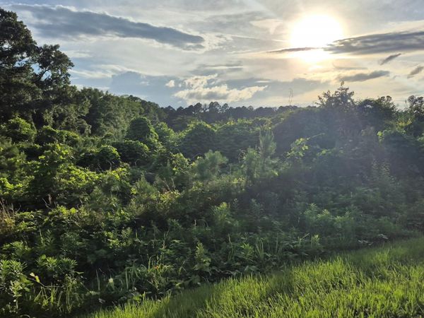 0 Brooklyn Road, Evergreen, AL 36401
