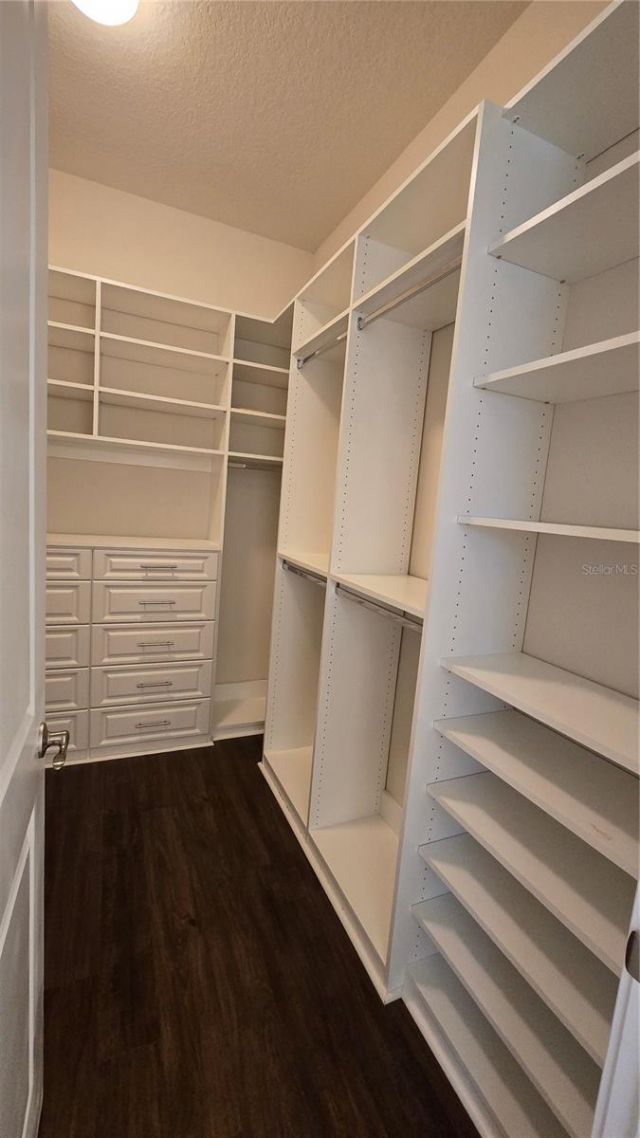 17514 Black Rail Street, Windermere, FL 34786 Photo