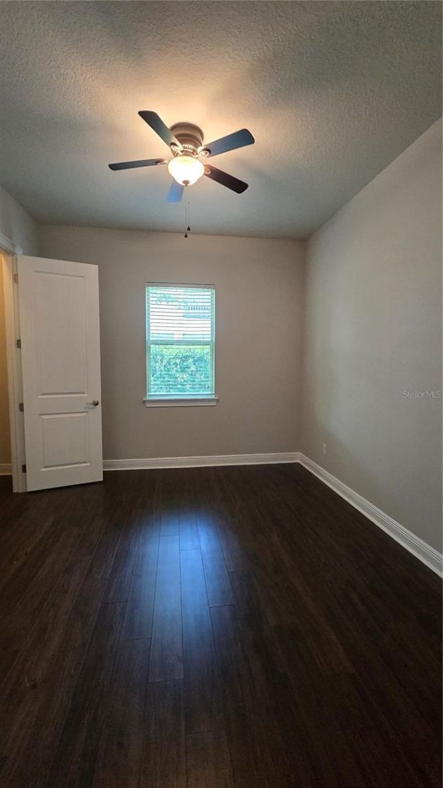 17514 Black Rail Street, Windermere, FL 34786 Photo