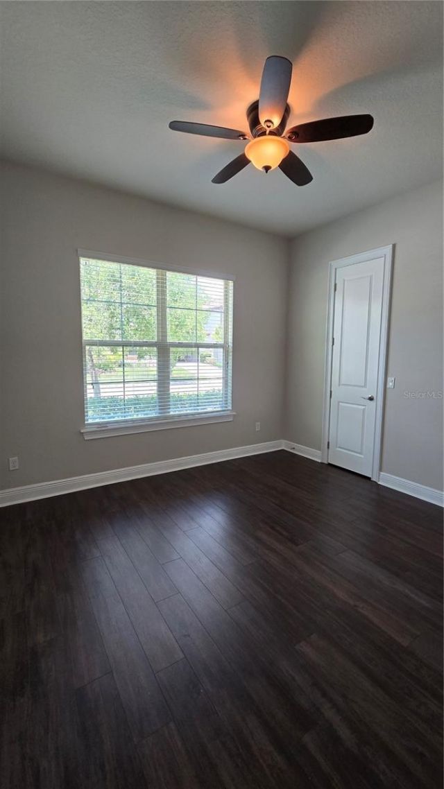 17514 Black Rail Street, Windermere, FL 34786 Photo