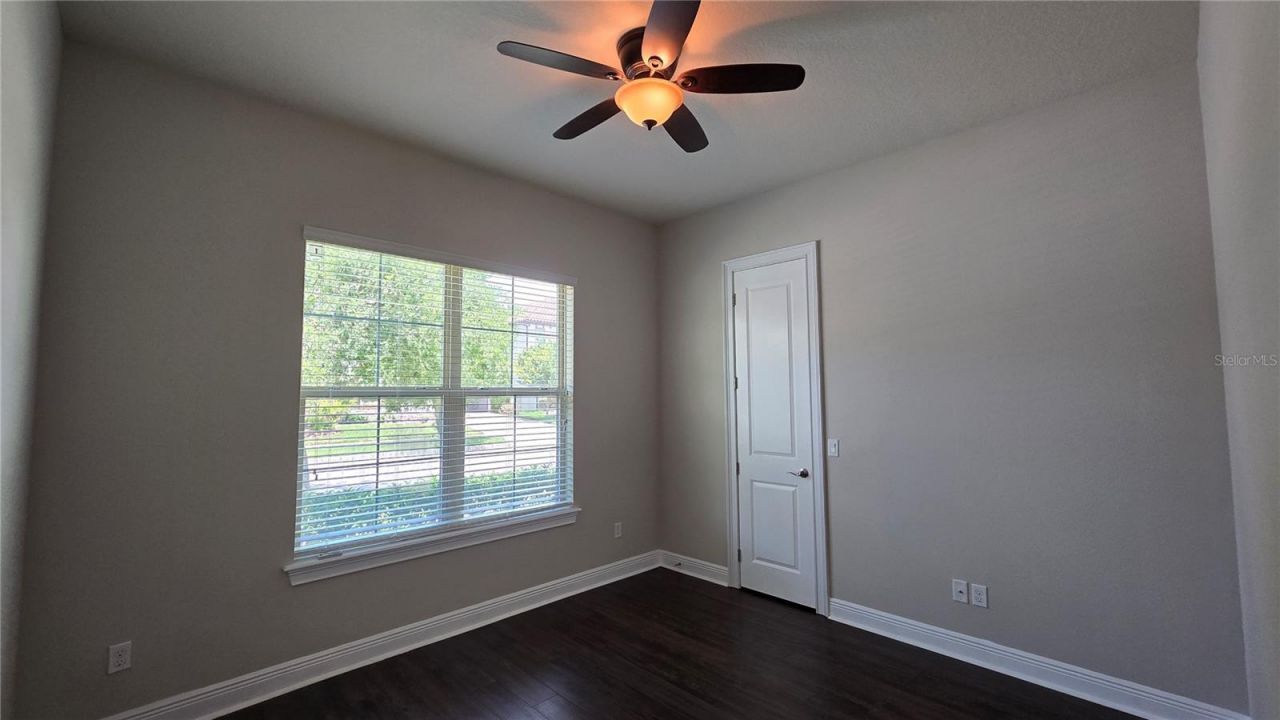 17514 Black Rail Street, Windermere, FL 34786 Photo