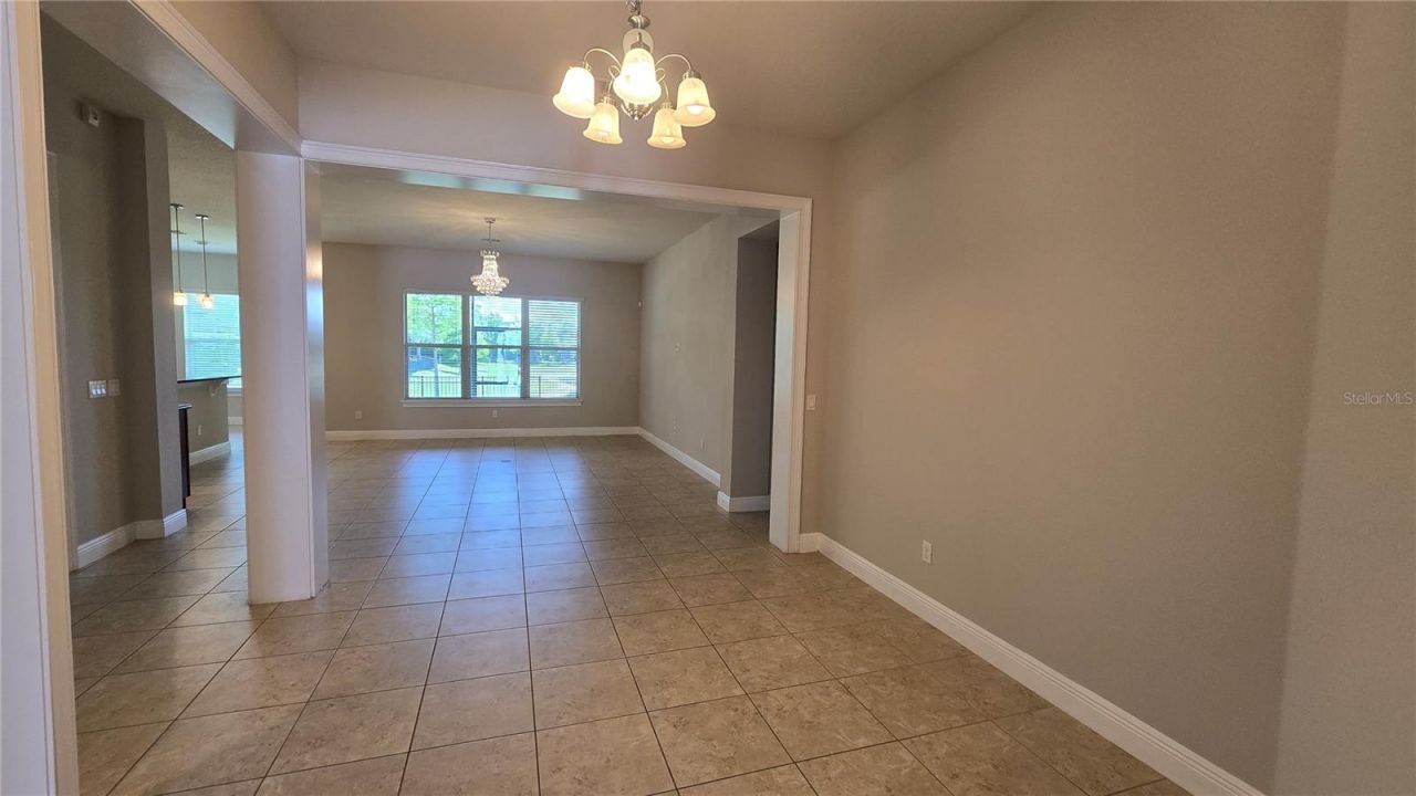 17514 Black Rail Street, Windermere, FL 34786 Photo