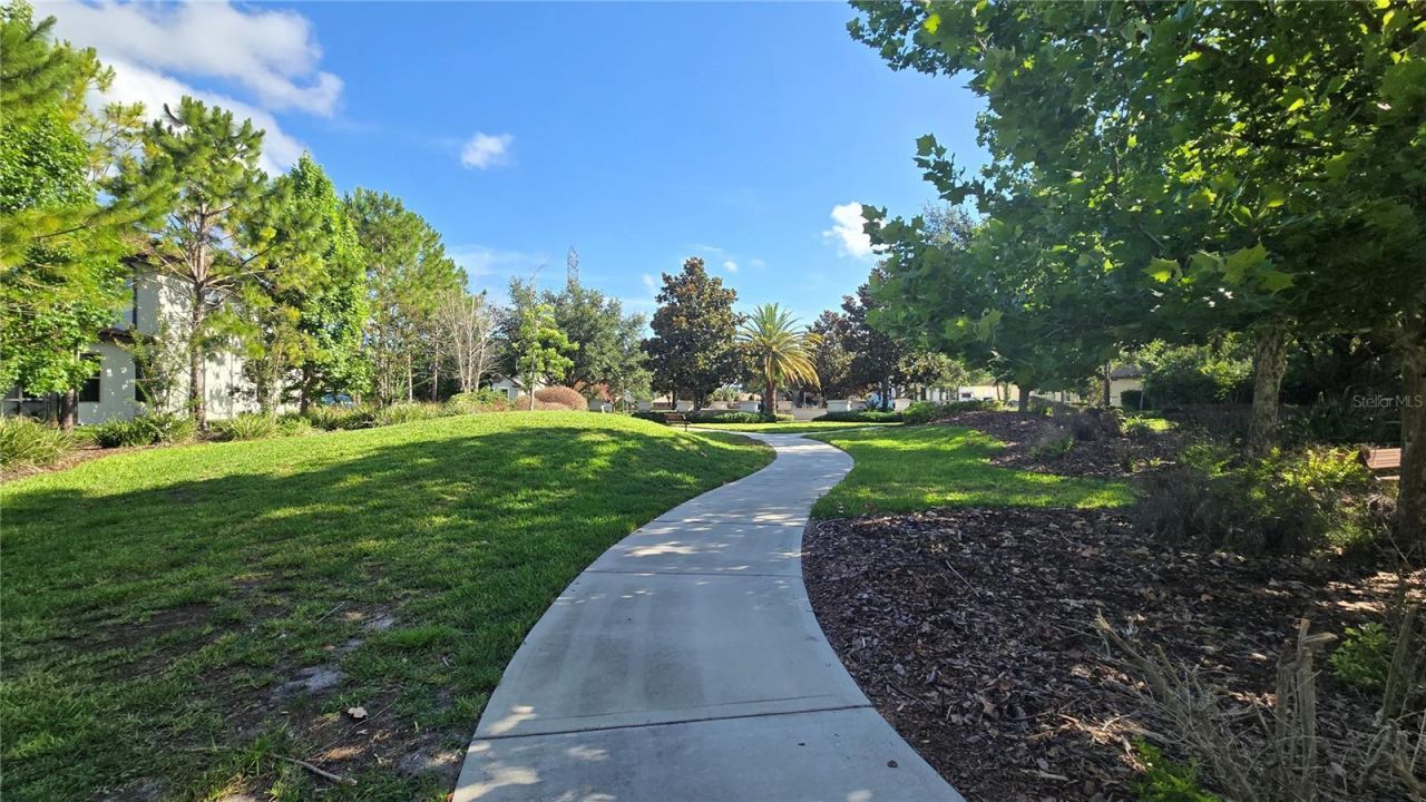 17514 Black Rail Street, Windermere, FL 34786 Photo