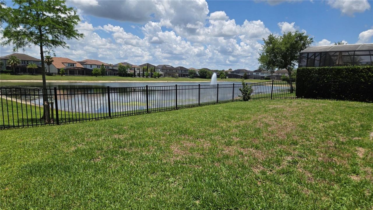 17514 Black Rail Street, Windermere, FL 34786 Photo