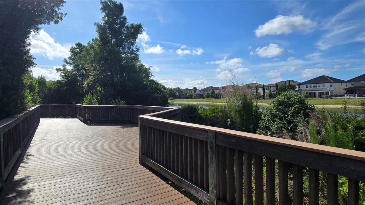 17514 Black Rail Street, Windermere, FL 34786 Photo