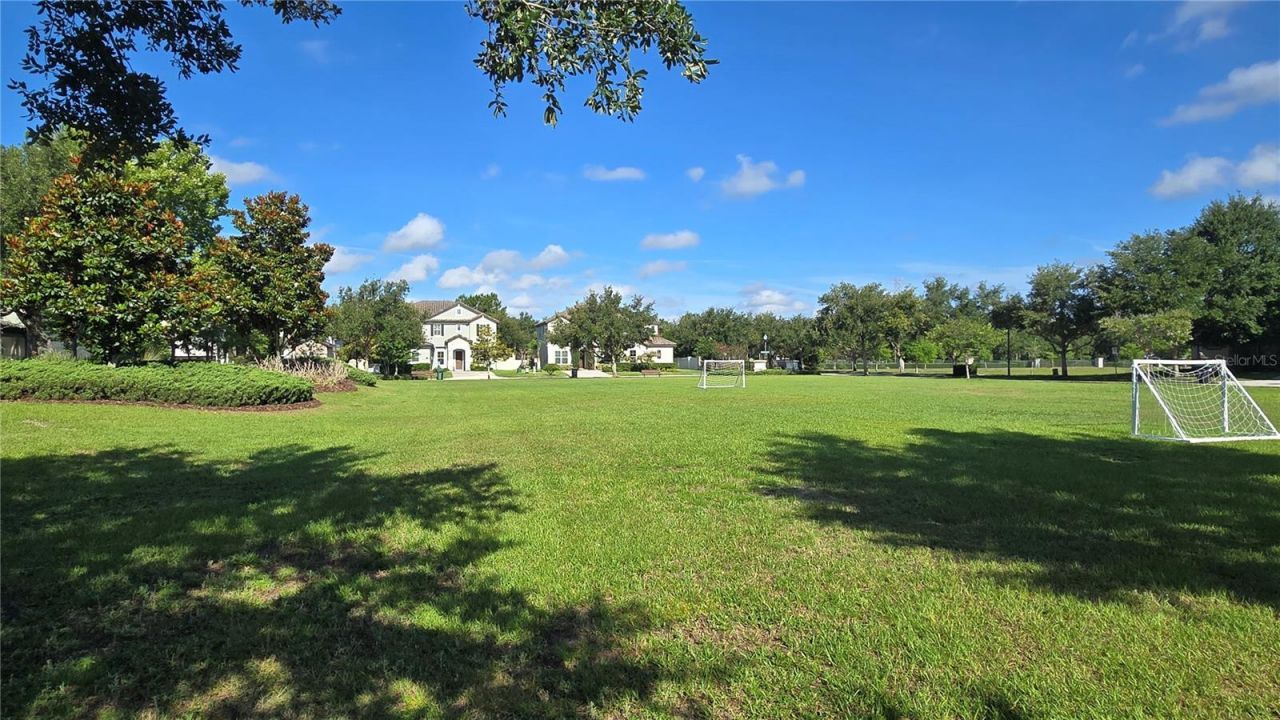 17514 Black Rail Street, Windermere, FL 34786 Photo