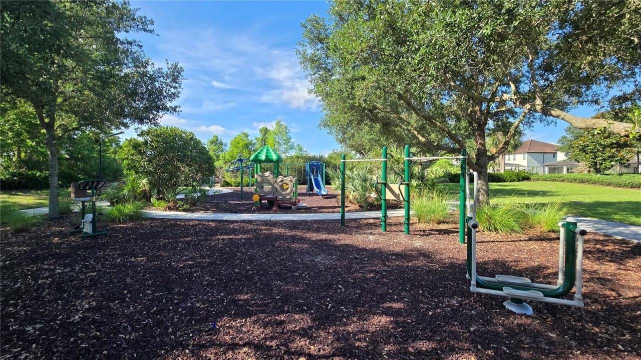 17514 Black Rail Street, Windermere, FL 34786 Photo