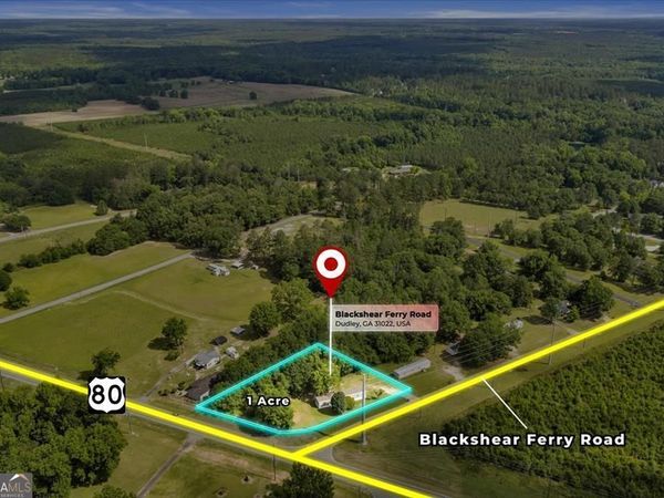 1295 Blackshear Ferry Road, Dudley, GA 31022