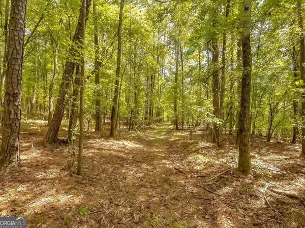 1251 Crumbley Road, Mcdonough, GA 30252