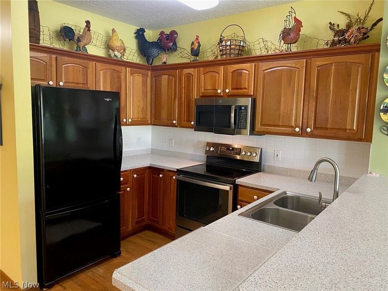 2231 Langford Lane, Avon, OH 44011 Photo 4