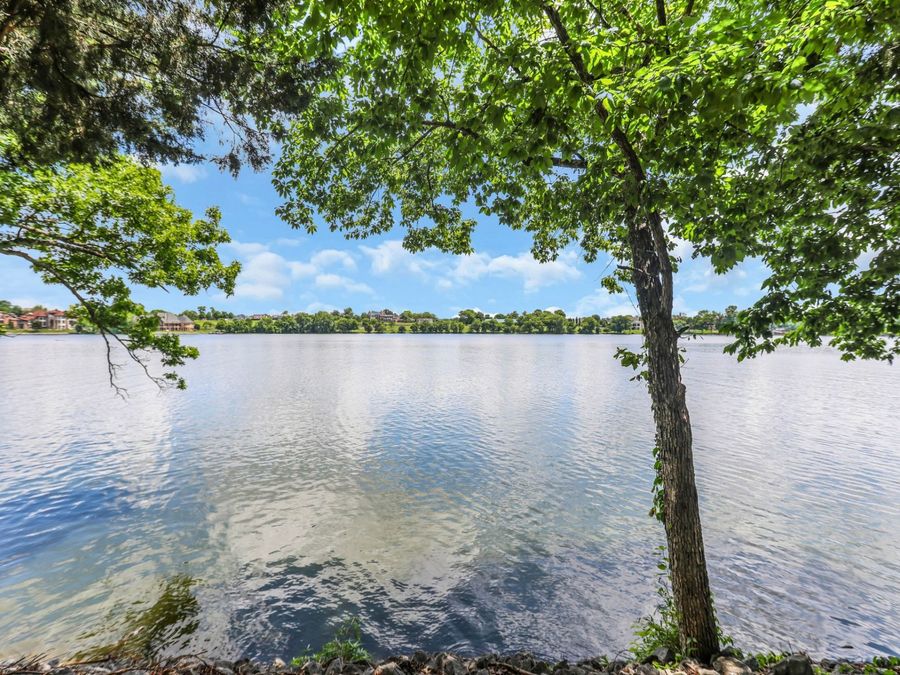 Property Image 61