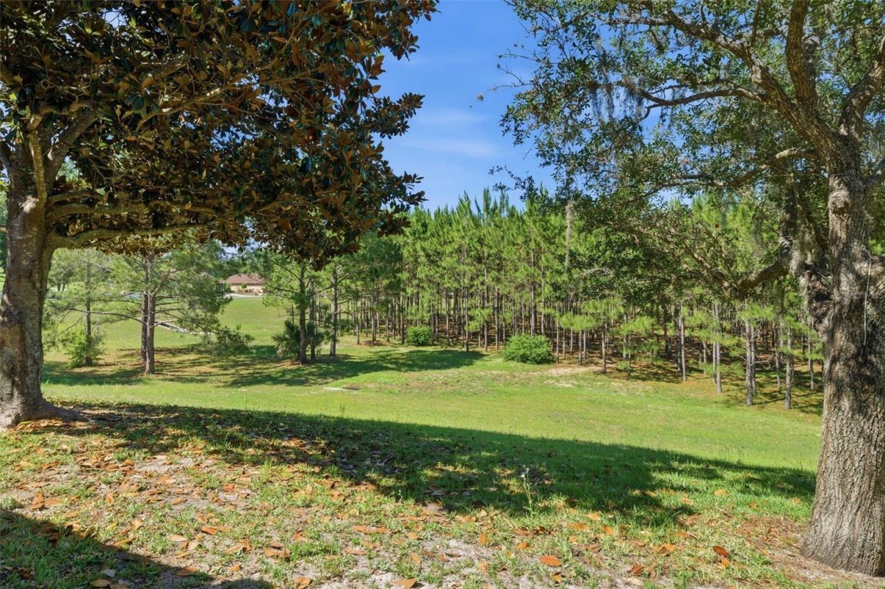 1598 W Spring Meadow Loop, Lecanto, FL 34461 Photo