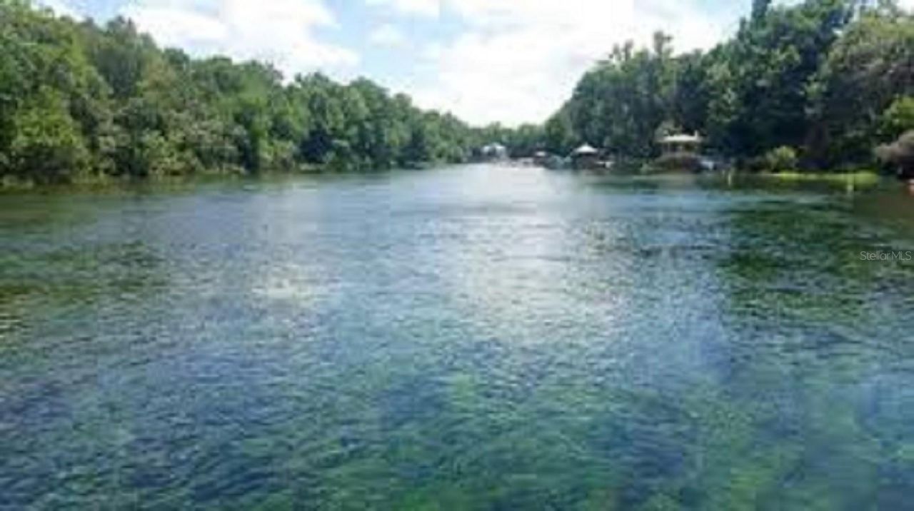 1598 W Spring Meadow Loop, Lecanto, FL 34461 Photo