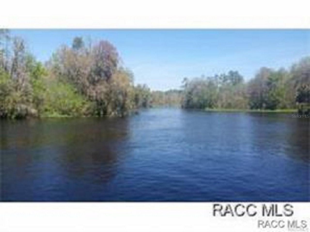 1598 W Spring Meadow Loop, Lecanto, FL 34461 Photo