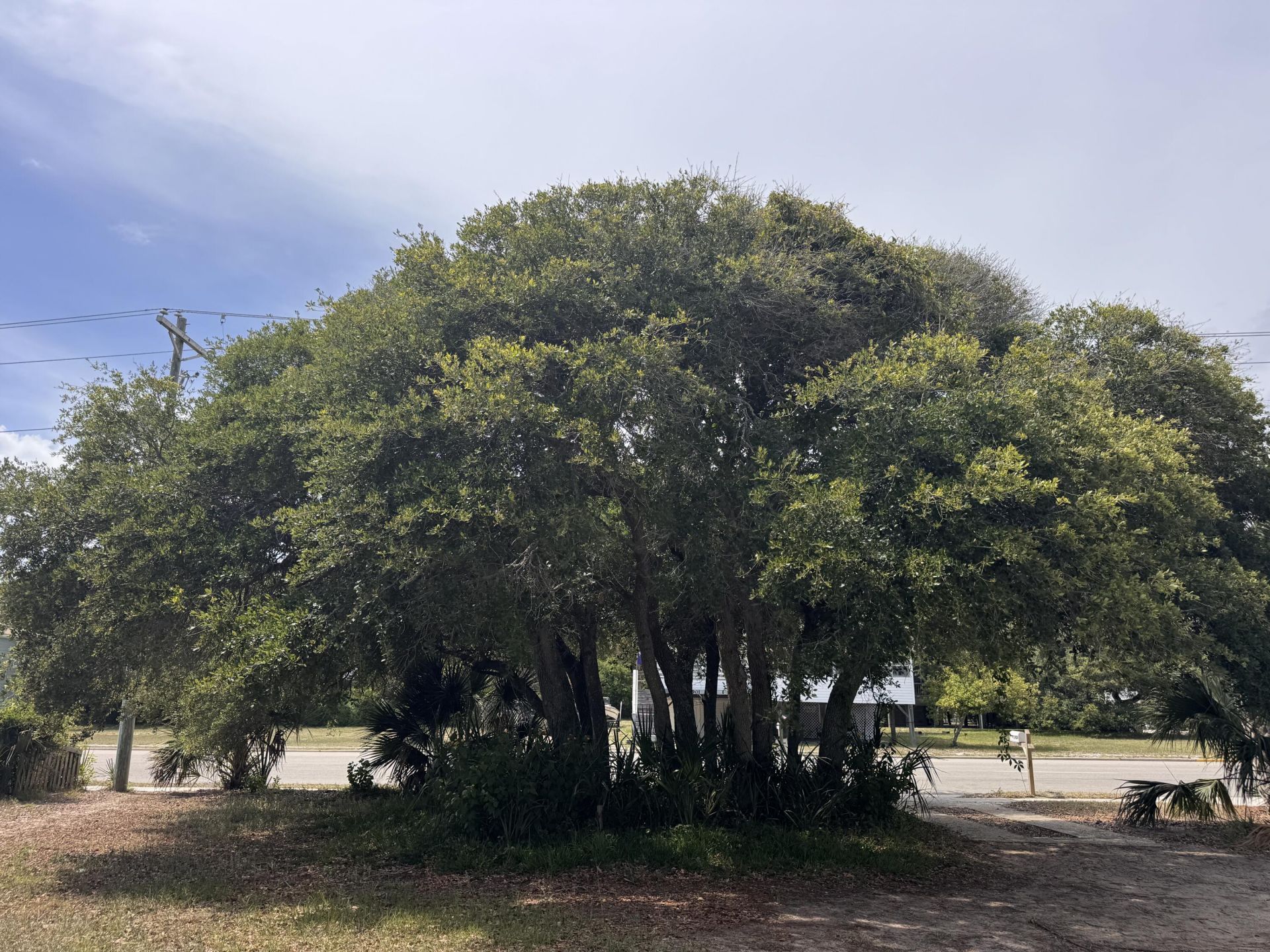 1904 Palmetto Boulevard Photo 58