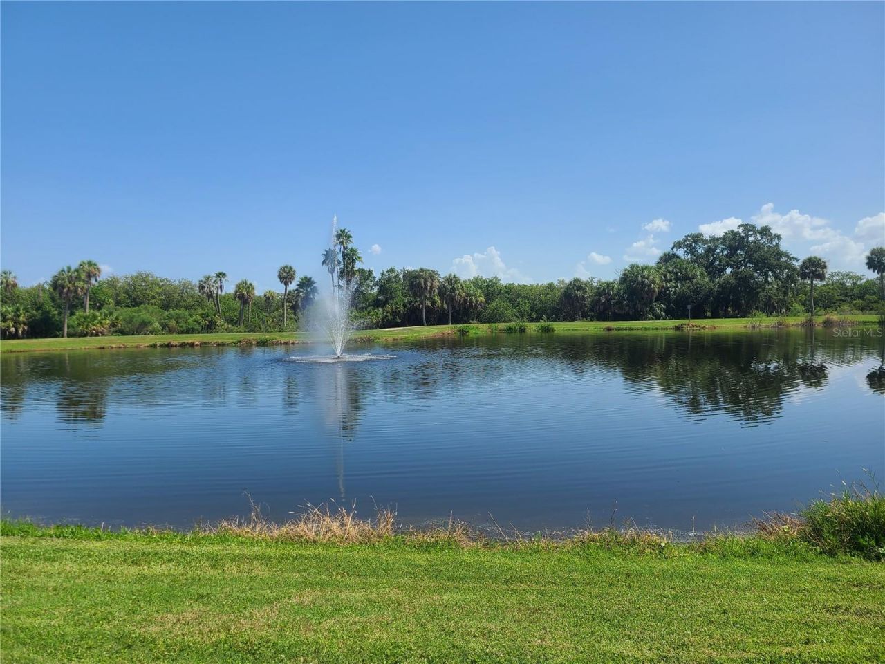 514 Brandon Avenue, Clearwater, FL 33765 Photo
