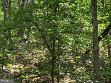 HILLANDALE RD LOT 31 , FRONT ROYAL, VA 22630