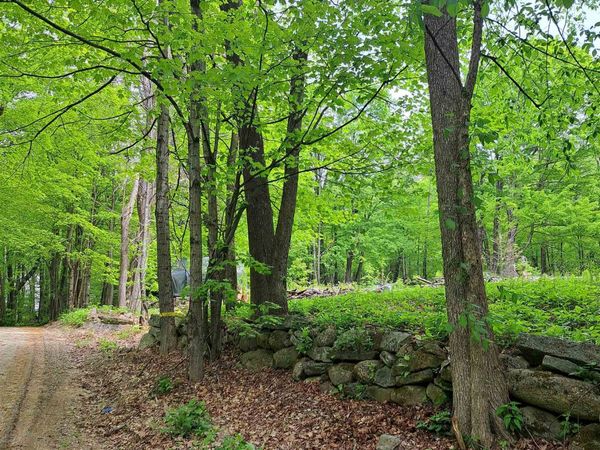 81 Hart Farm Road, Deering, NH 03244