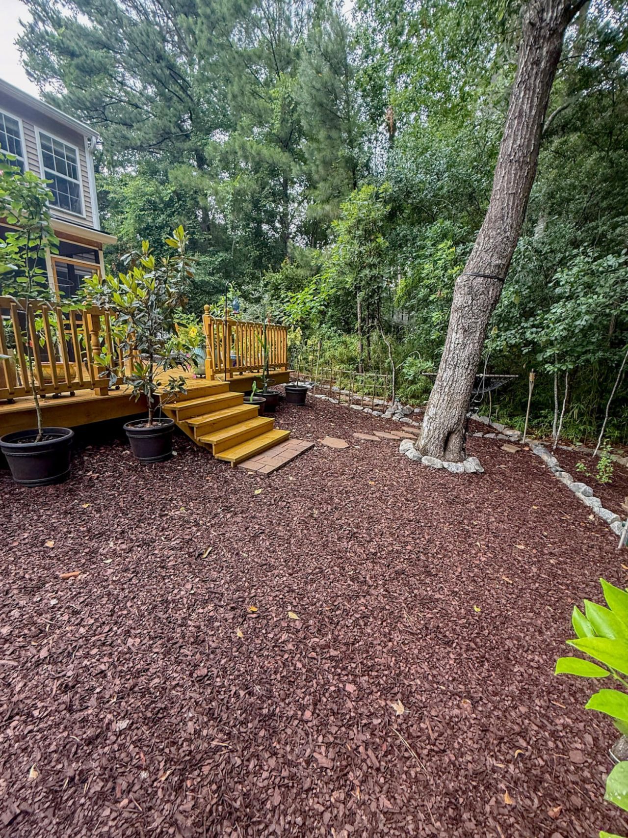 1265 Island Club Drive Photo 11